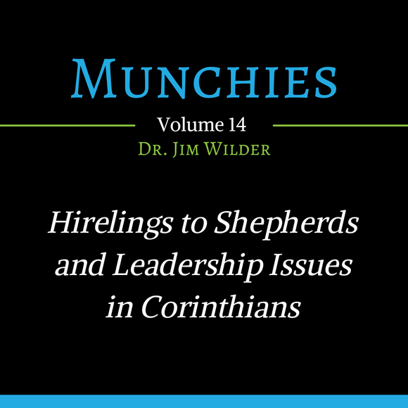 Hirelings to Shepherds and Leadership Issues (Munchies: Volume 14 - MP3 Download)
