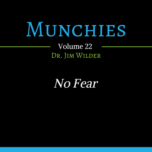 No Fear (Munchies: Volume 22 - MP3 Download)