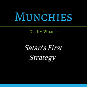 Satan's First Strategy: Avoiding Pain (MP3 Download)
