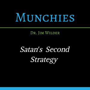 Satan's Second Strategy: The Picker (MP3 Download)