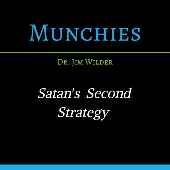 Satan's Second Strategy: The Picker (MP3 Download)