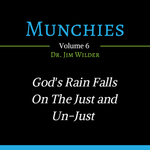 God's Rain Falls on the Just and the Unjust (Munchies: Volume 6 MP3)