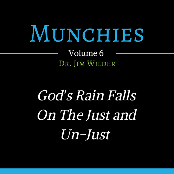 God's Rain Falls on the Just and the Unjust (Munchies: Volume 6 MP3)